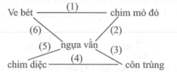 Trên một thảo nguyên, các con ngựa vằn mỗi khi di chuyển thường đánh động và làm các con côn trùng bay khỏi tổ. Lúc này  (ảnh 1)