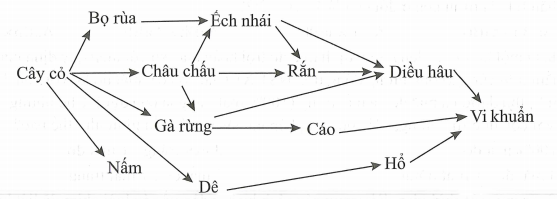 Giả sử một lưới thức ăn có sơ đồ như sau: Phát biểu dưới đây sai về loại  (ảnh 1)