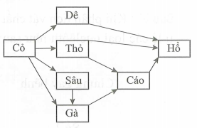 Giả sử lưới thức ăn trong quần xã sinh vật (ảnh 1)