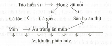 Trong một ao có các quần thể thuộc các loài và nhóm loài sau  (ảnh 1)