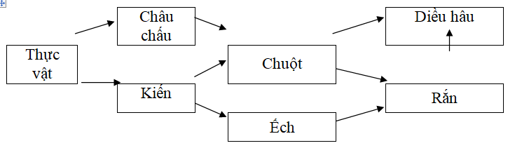 Cho một lưới thức ăn trong quần xã sinh vật được mô tả bằng sơ đồ sau đây (ảnh 1)