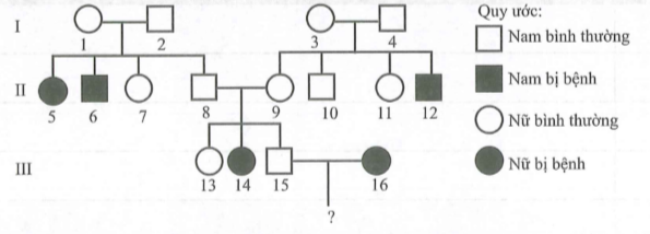 Cho sơ đồ phả hệ mô tả sự di truyền của một bệnh ở  (ảnh 1)