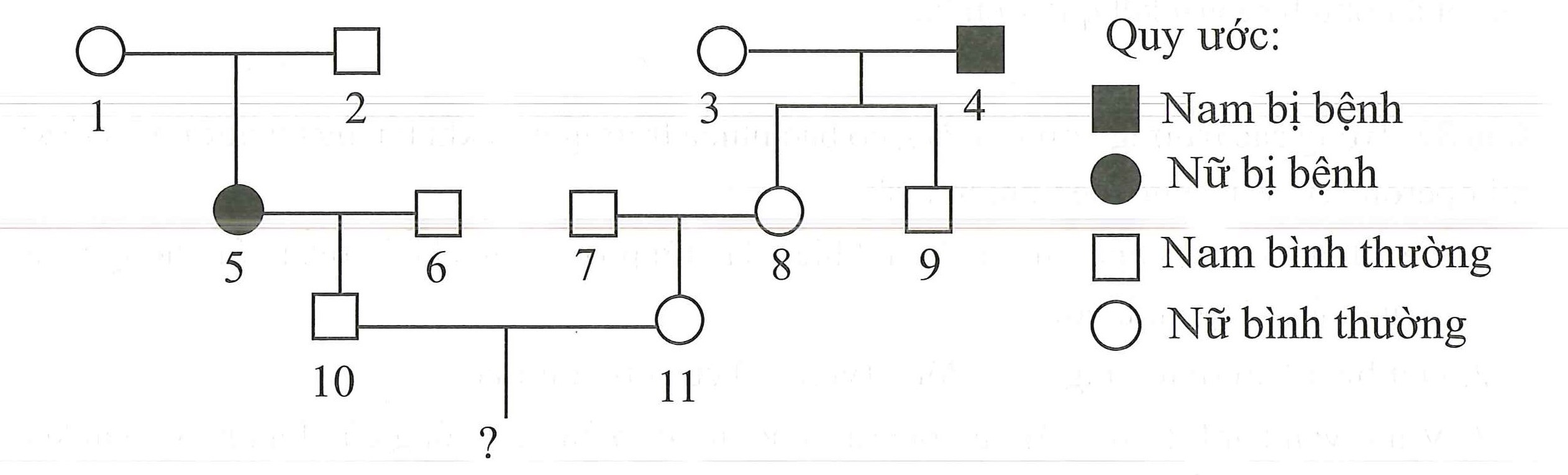 Phả hệ sau đây mô tả sự di truyền của một bệnh ở người do 1 trong 2 alen  (ảnh 1)