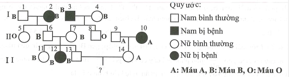 Cho sơ đồ phả hệ mô tả sự di truyền  (ảnh 1)