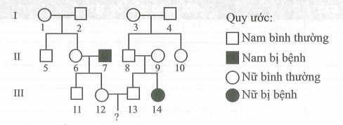 Sơ đồ phả hệ sau đây mô tả một bệnh di truyền ở người  (ảnh 1)