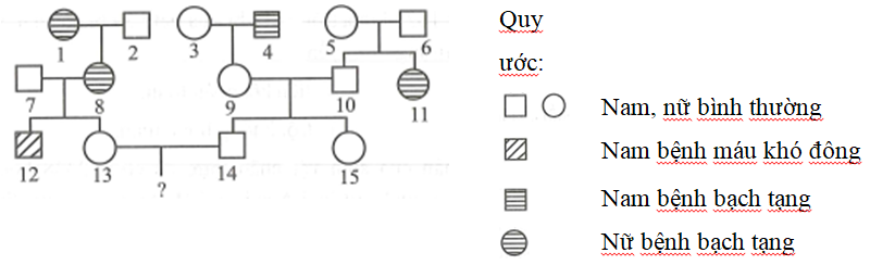 Ở người, bệnh bạch tạng do gen lặn  (ảnh 2)