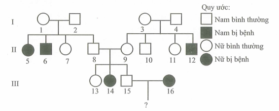 Cho sơ đồ phả hệ mô tả sự di truyền của một  (ảnh 1)