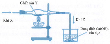 Một học sinh lắp đặt dụng cụ thí nghiệm như hình dưới đây từ các chất X, Y (ảnh 1)