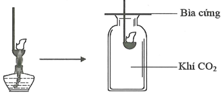 Đốt môi sắt chứa kim loại M cháy ngoài không khí rồi đưa vào bình (ảnh 1)