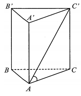 Cho hình lăng trụ đứng ABC.A’B’C’, đáy là tam giác ABC vuông tại A, AB=a (ảnh 2)