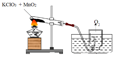 Bài 13: Phản ứng hóa học (ảnh 1)
