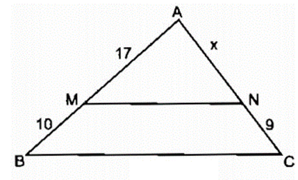 Bài 1: Định lí Ta-lét trong tam giác (ảnh 1)