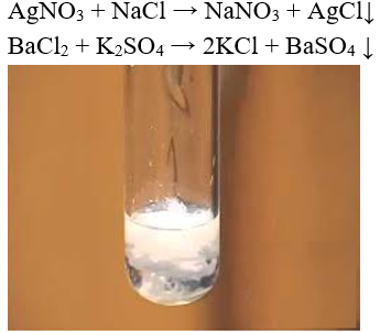 Bài 9: Tính chất hóa học của muối (ảnh 1)