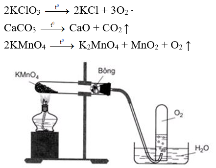 Bài 9: Tính chất hóa học của muối (ảnh 1)