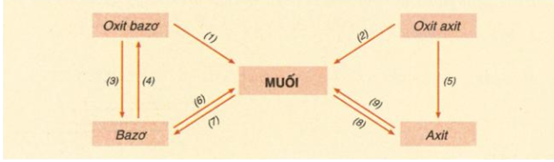 Bài 12: Mối quan hệ giữa các loại hợp chất vô cơ (ảnh 1)