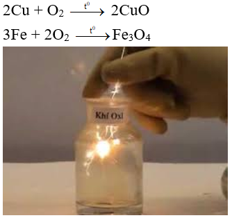 Bài 16: Tính chất hóa học của kim loại (ảnh 1)