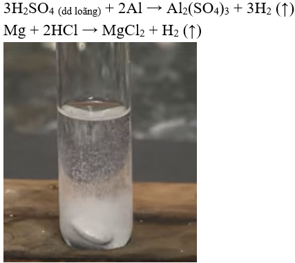 Bài 17: Dãy hoạt động hóa học của kim loại (ảnh 1)