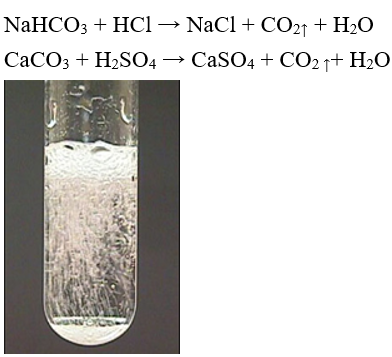 Bài 29: Axit cacbonic và muối cacbonat (ảnh 1)