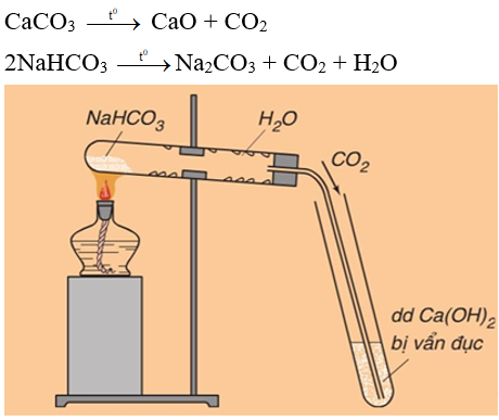 Bài 29: Axit cacbonic và muối cacbonat (ảnh 1)