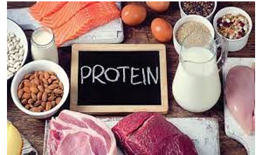 Bài 53: Protein (ảnh 1)