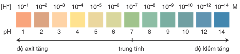 Tính pH của 300ml dung dịch (gồm 100 ml Ba(OH)2 0,1M và 200 ml 