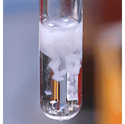Bài 4: Phản ứng trao đổi ion trong dung dịch các chất điện li (ảnh 1)