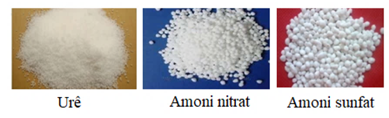 Bài 9: Axit nitric và muối nitrat (ảnh 1)