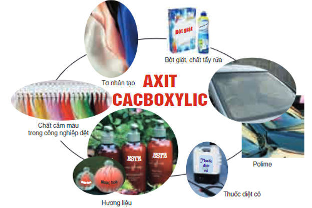 Bài 45: Axit cacboxylic (ảnh 1)