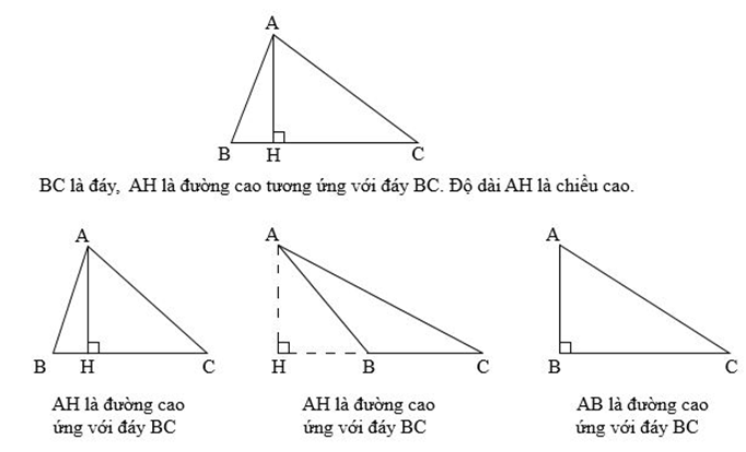 Hình tam giác (ảnh 1)