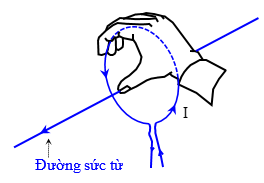 Bài 21: Từ trường của dòng điện chạy trong các dây dẫn có hình dạng đặc biệt (ảnh 1)