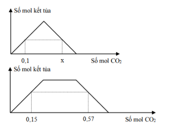 Dung dịch X chứa a mol Ba(OH)2. Dung dịch Y (ảnh 1)