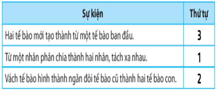 Quan sát hình 20.2, hãy trình bày diễn biến của quá trình phân chia tế bào (ảnh 1)