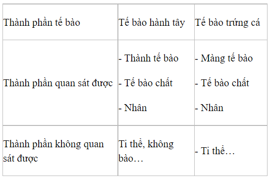 Hãy nêu tên các thành phần em quan sát được ở các tế bào (ảnh 1)