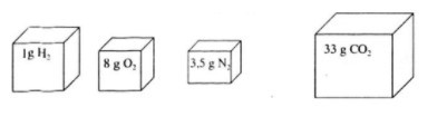 Hãy vẽ những hình khối chữ nhật để so sánh thể tích các khí sau (đktc): 1gH2  (ảnh 1)